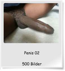 Penis 02  500 Bilder