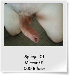 Spiegel 01 Mirror 01 500 Bilder