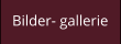 Bilder- gallerie